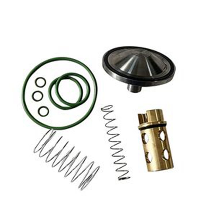 Check Valve Kit 2901-2020-00 2901202000 for Atlas Copco Screw Air Compressor C90 GA30 +