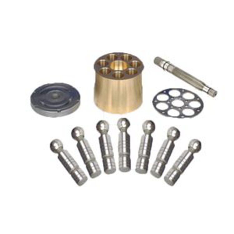 Hydraulic Pump Repair Parts Kit for Rexroth A2V500