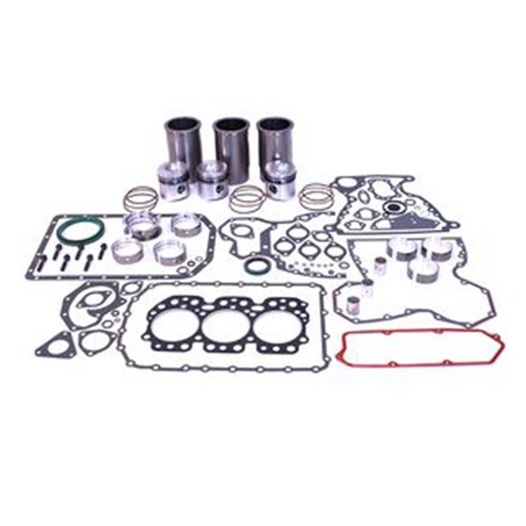 Engine Overhaul Rebuild Kit for John Deere 3.164 To ESN 179,601 O-rings on Block