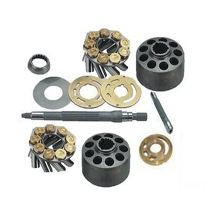 Hydraulic Pump Repair Parts Kit for Rexroth A10V43