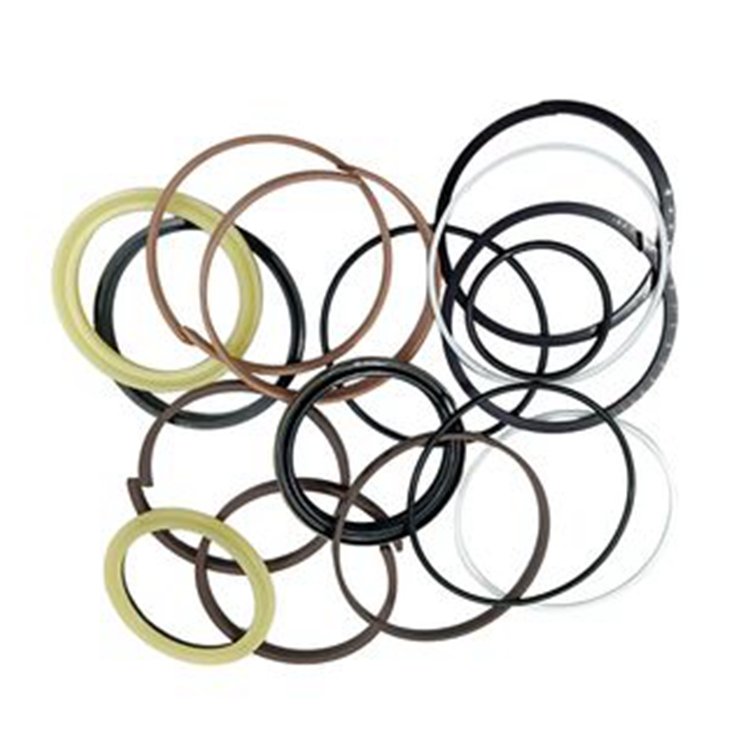 Boom Cylinder Seal Kit 160577A1 for CASE Excavator 9030B