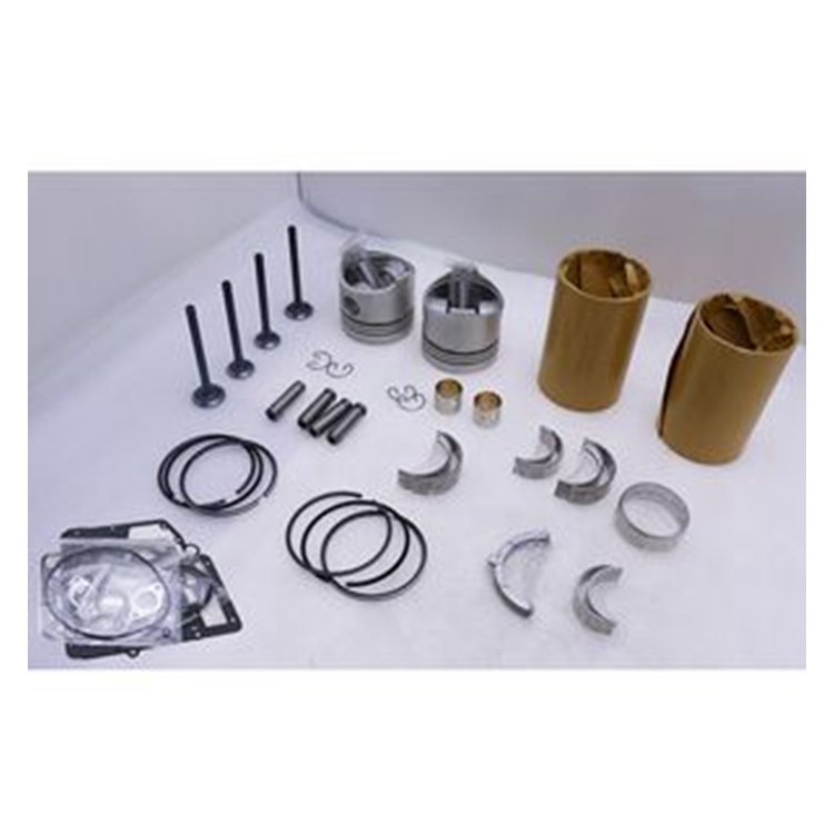 2 Cylinder Overhaul Rebuild Kit for Kubota ZB500 Engine Gl5500 Generator