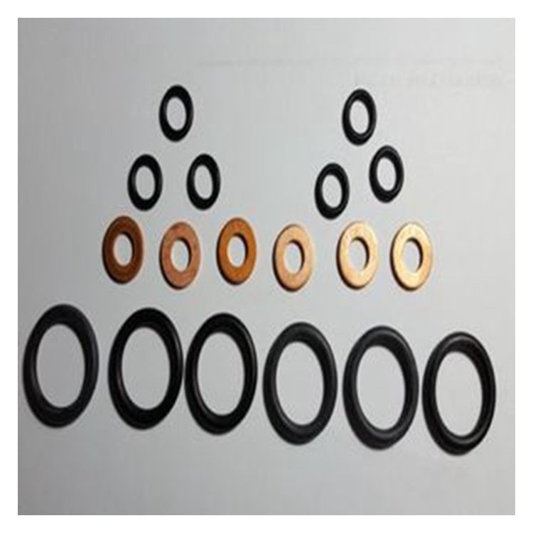 Oil Seal 3028291 3029820 3201125 3201585 for Cummins Engine B4.5 B4.5 RGT B4.5S B5.9 G B5.9 GAS PLUS CM556 B5