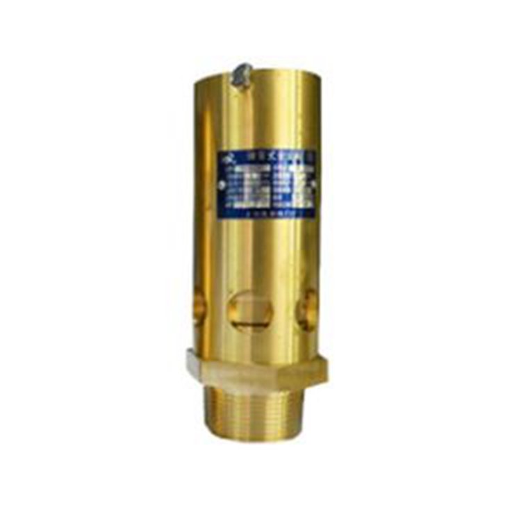 Pressure Safety Valve 2205162301 for Atlas Copco Air Compressor