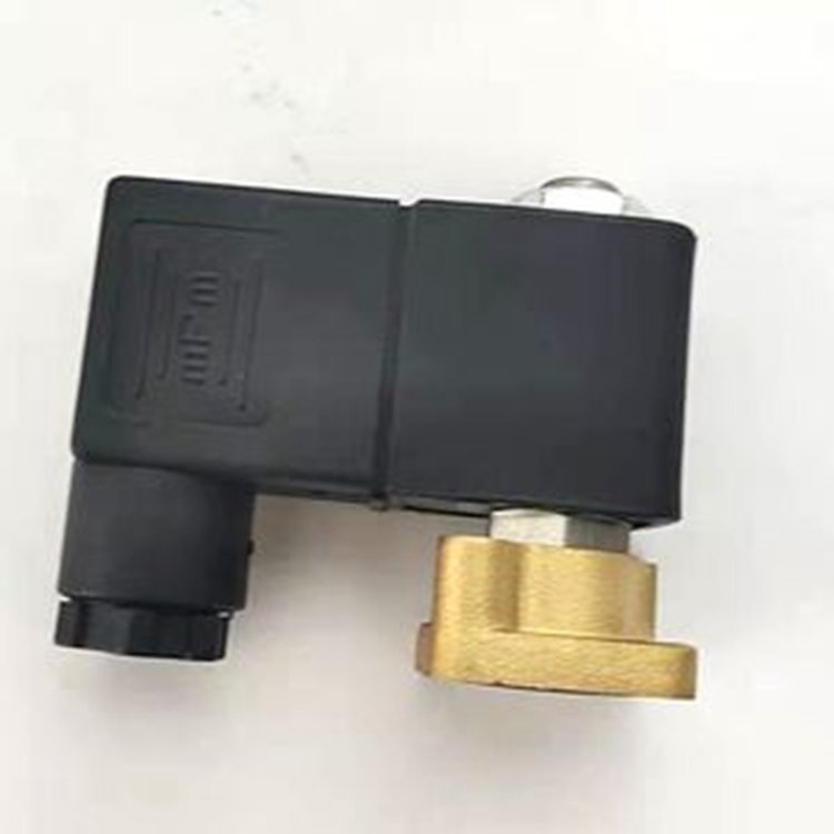 AC220 AC110 AC24 Solenoid Valve 4628Y0V12 for Ingersoll Rand Screw Air Compressor