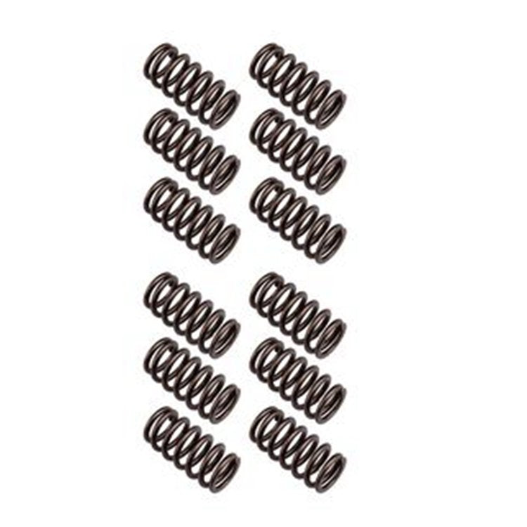 12 Pcs Valve Springs 3916691 3900276 for Dodge Ram 2500 3500 Cummins Engine 5.9L 12V