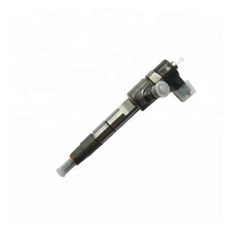 Fuel Injection 0445110691 for Bosch Original