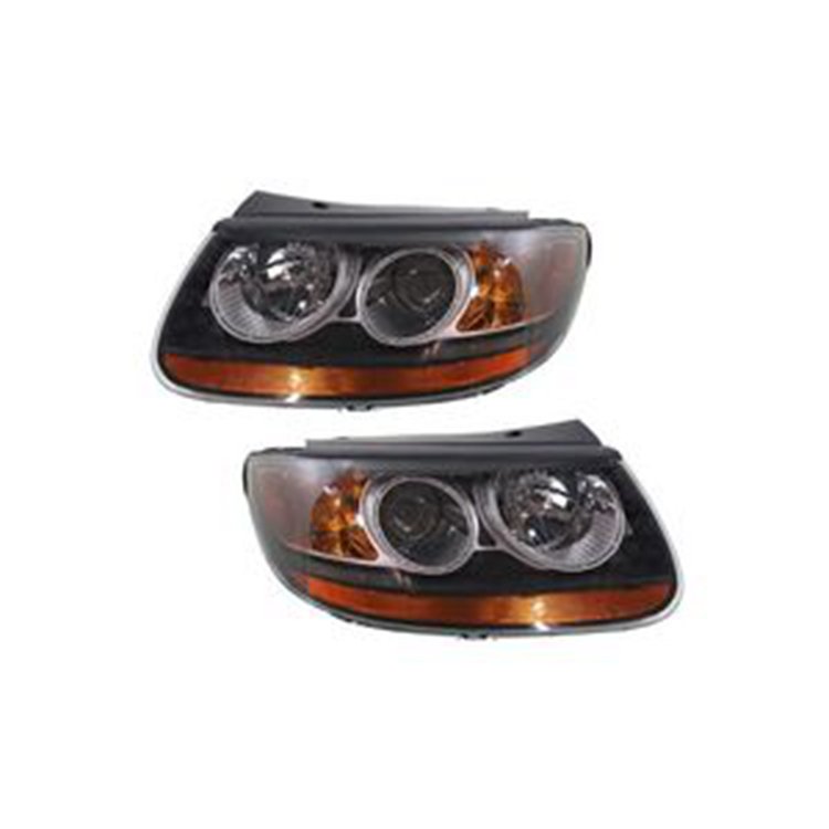 Left and Right Headlight HY2503139 HY2502139 for Hyundai Santa Fe 2007