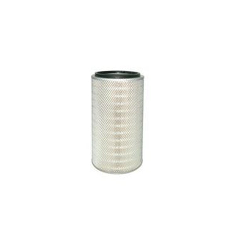 Air Filter P500111 for Donaldson