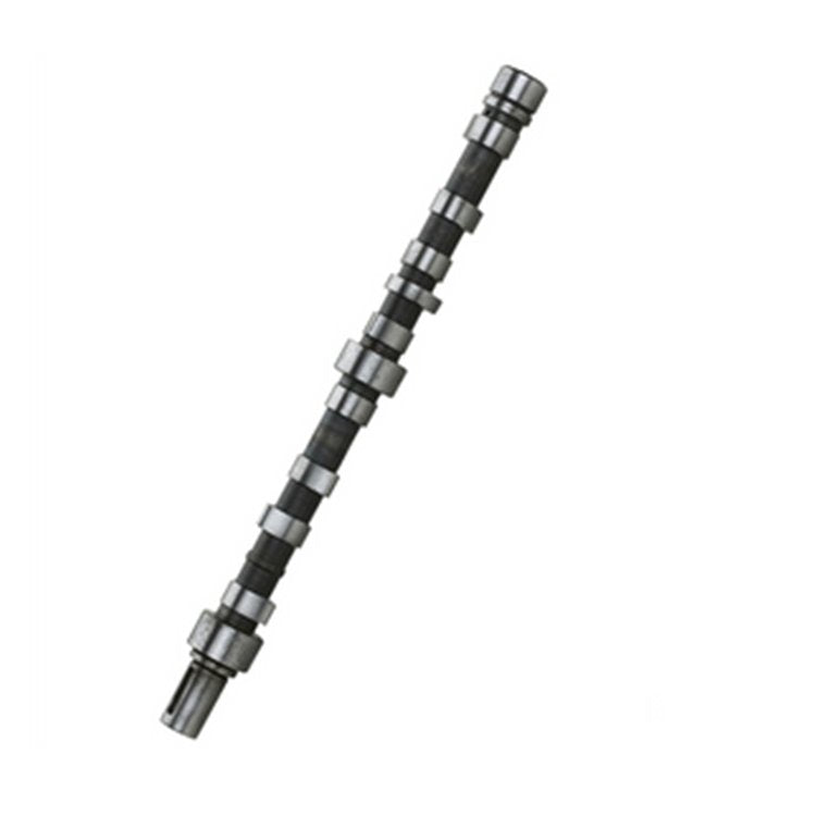 Camshaft 3895801 for Cummins Engine L10