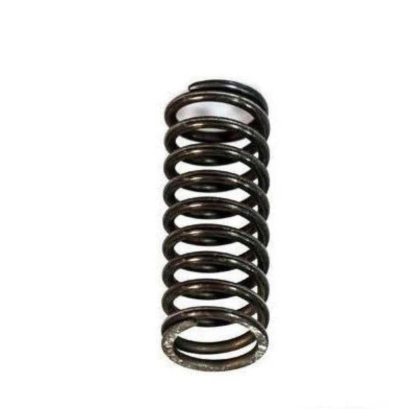 External Valve Spring 466384 For Volvo Tad740